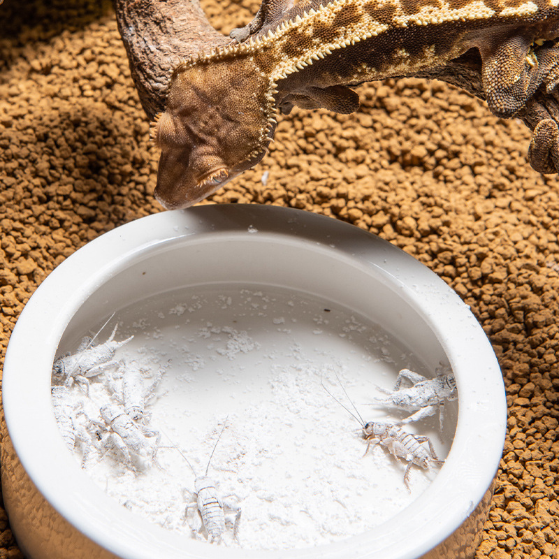 SuperRep Reptile Calcium Pro-V - Vitamin D3 Reptile incelemesi ve fiyatı