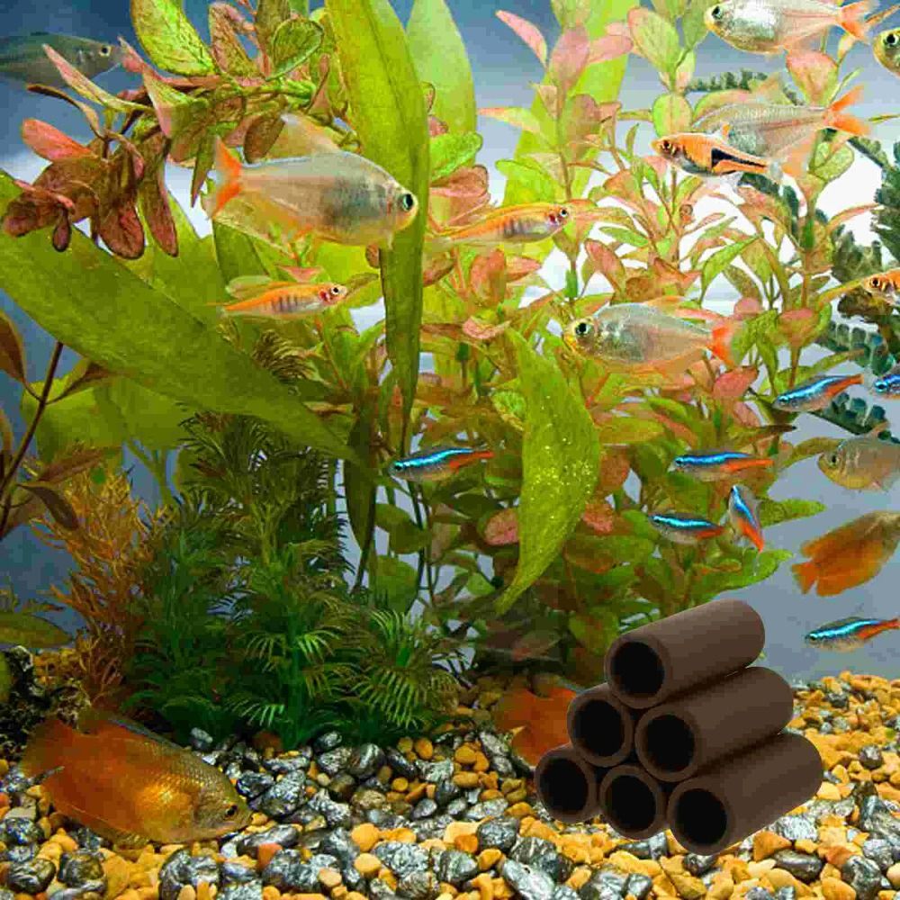 Playing Breeding Spawning Aqua - Hide Cave Ceramic incelemesi ve fiyatı
