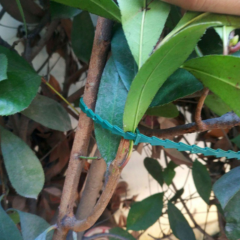 13cm Adjustable Plastic Plant  - Vine Climbing Plastic incelemesi ve fiyatı