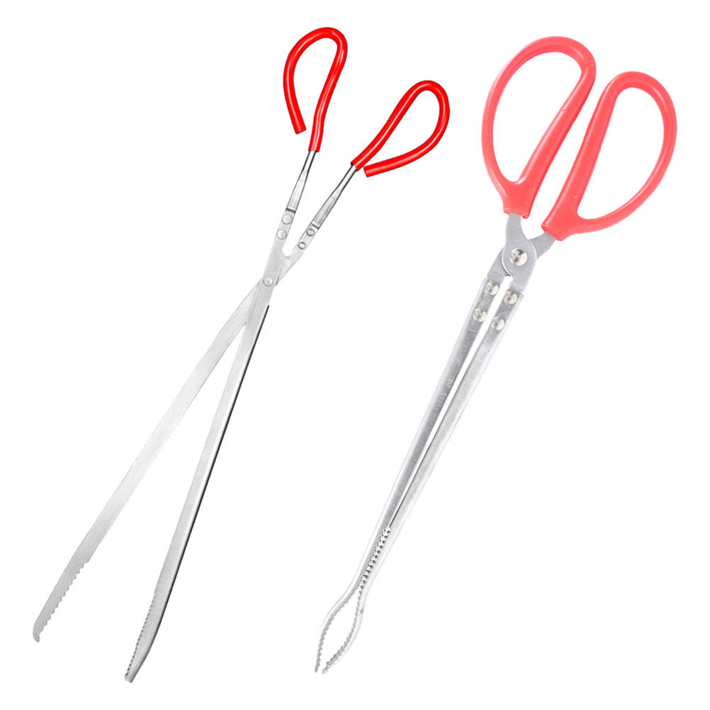 2Pcs Stainless Steel Snake Ton - Feeding Tong Stainless incelemesi ve fiyatı