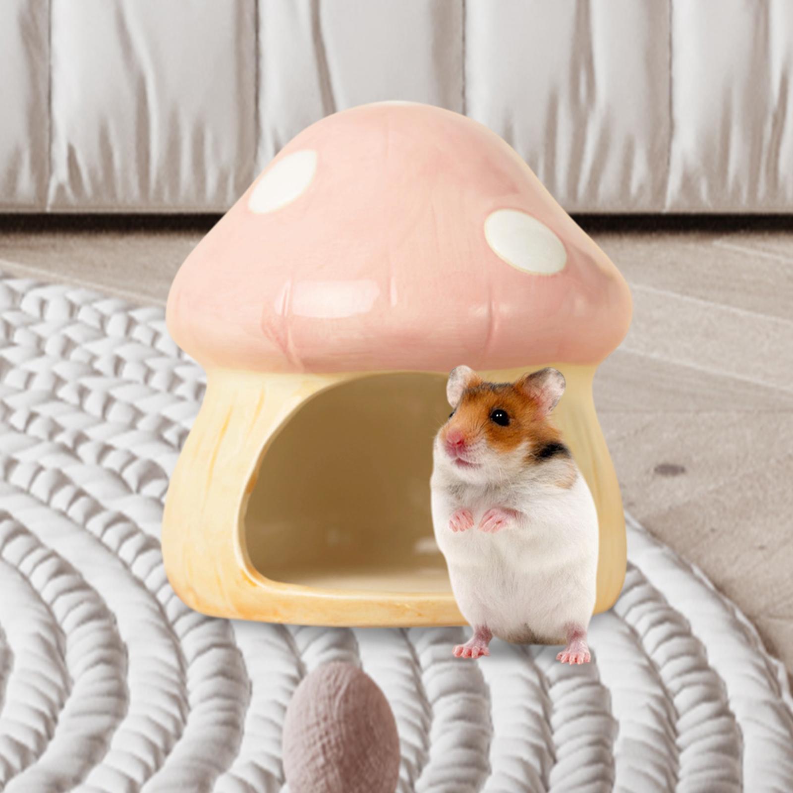 Ceramic Mushroom Hamster Hideo - Hide Cave Ceramic incelemesi ve fiyatı