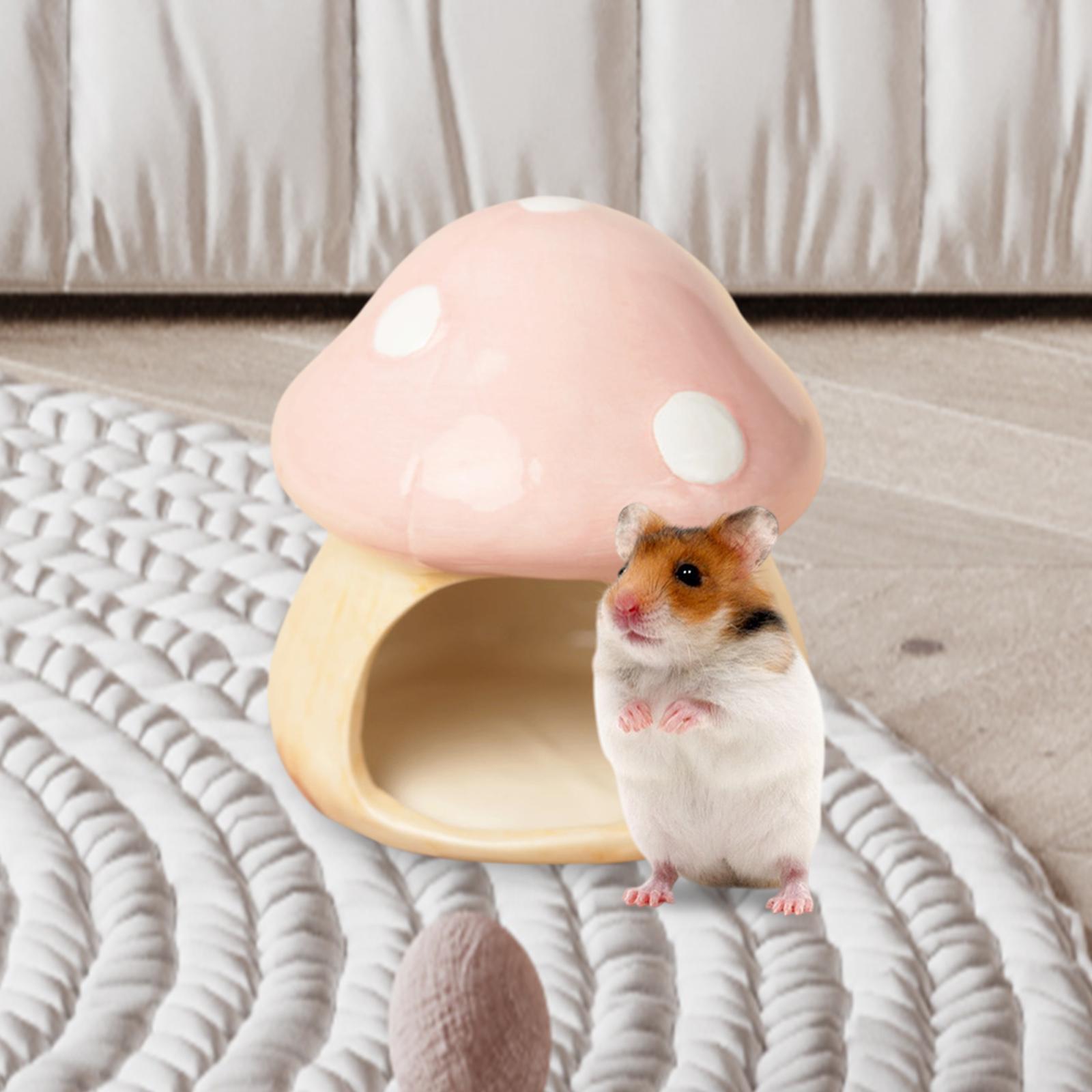 Ceramic Mushroom Hamster Hideo - Hide Cave Ceramic incelemesi ve fiyatı