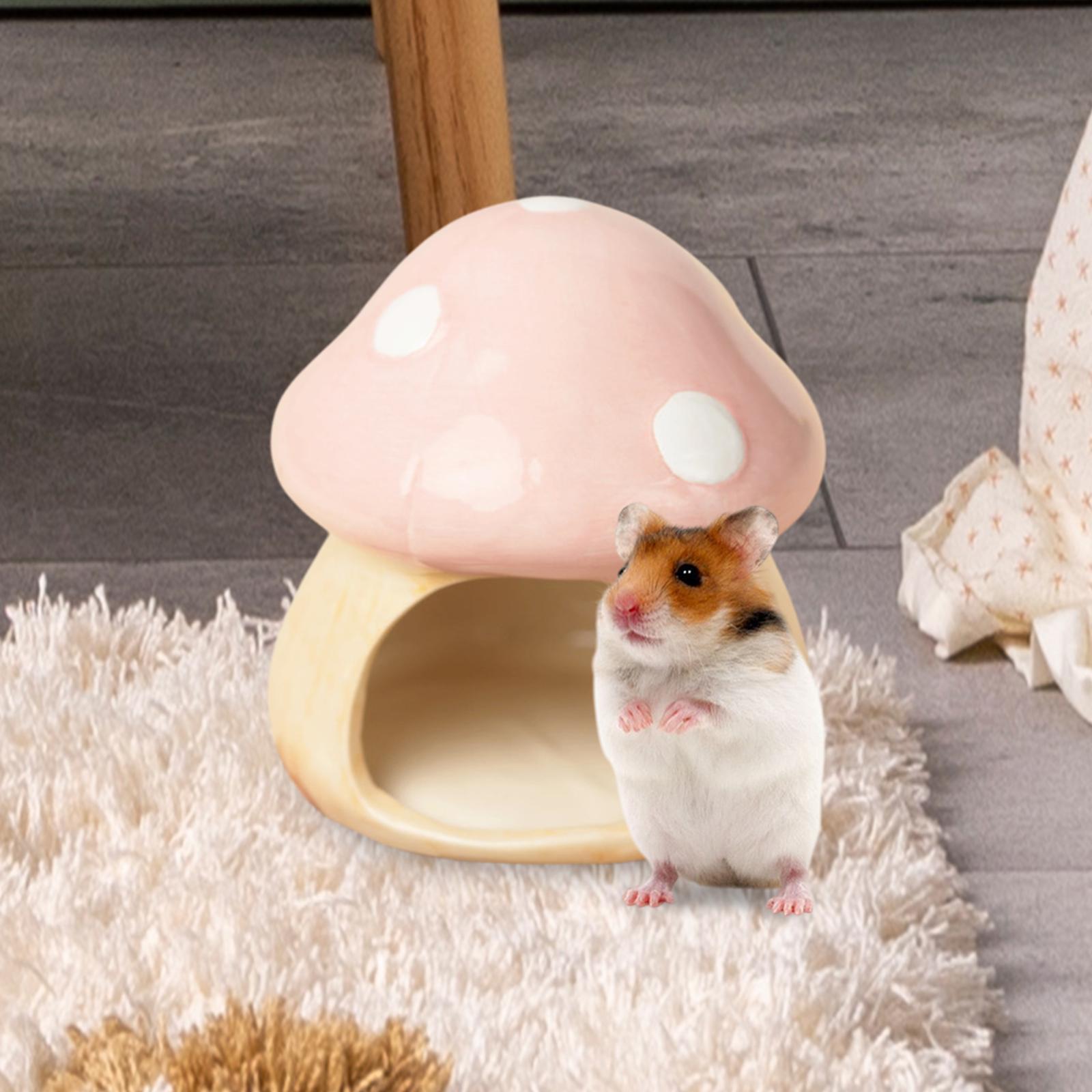 Ceramic Mushroom Hamster Hideo - Hide Cave Ceramic incelemesi ve fiyatı